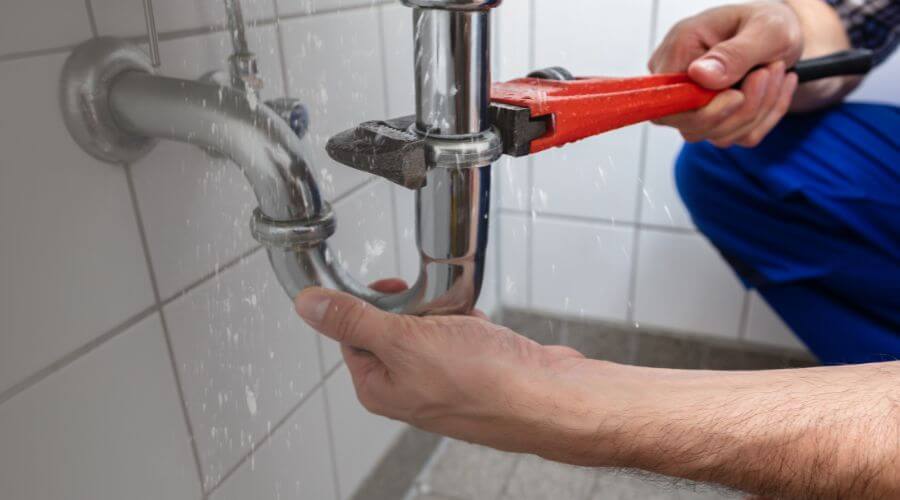 Professional Leak Detection services in Telferner, TX